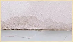 Lake Worth Restoration Company Lake Worth, FL 561-342-1965 Lake Worth Restoration Company Lake Worth, FL 561-342-1965 - palm-beach-county