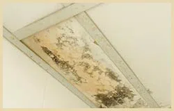 Lake Worth Restoration Company Lake Worth, FL 561-342-1965 Lake Worth Restoration Company Lake Worth, FL 561-342-1965 - water-leaks-detection